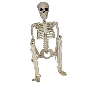 33" Halloween Posable Skeleton Decoration Realistic Plastic Human Full Body